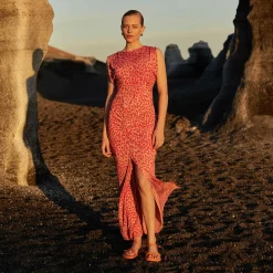 Dress Cannon Cheetah Silk Jersey